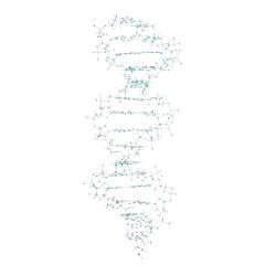 DNA-Demonstrationsmodell, Orbit™-Bausatz, für den ersten Abschnitt des Lysozymproteins kodiert www.laborplan.eu