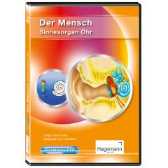 Didaktische DVD Der Mensch: Das Immunsystem (tabletfähig)
Artikel-Nr.: 180606