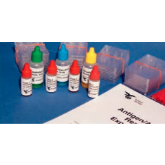 Antigen/Antikörper Experimentierkit 110.108 www.laborplan.eu