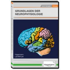 DVD-Lehrfilm Grundlagen Neurophysiologie, ab Sekundarstufe I, Hagemann