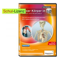 Didaktische DVD Unser Körper in 3D - Skelett und Muskulatur (tabletfähig)
Artikel-Nr.: 18617