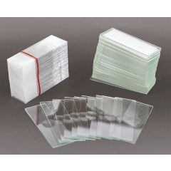 Objektträger, klar, mit Vertiefung, 26 x 76mm, Packung mit 10 Stück