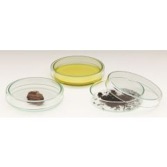 Petrischale aus Glas, flach, mit Überdeckel, 120  x 20 mm