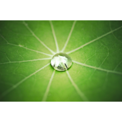 Bionik-Koffer, Cornelsen, 574151