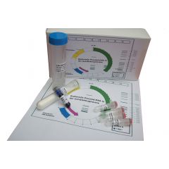 Bakterielle Plasmid - D N A in der GEL-Elektrophorese 530.100