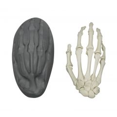 Magnetische menschliche Hand, rechts, Erler & Zimmer (EZ 6005)