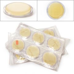 ROTI®ContiPlate PCA ready-to-use, steril, für die Mikrobiologie, 30 Stück