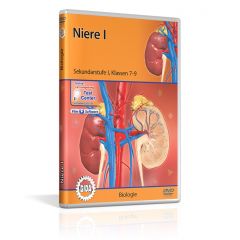 Nervenzelle & Nervensystem I, Film für den Biologieunterricht, GIDA DVD, ca. 32 min, Sekundarstufe I, Klasse 5-9, BIO-DVD058-5ML