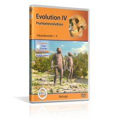 Evolution IV - Humanevolution, Film für den Biologieunterricht, GIDA DVD, Sekundarstufe I-II