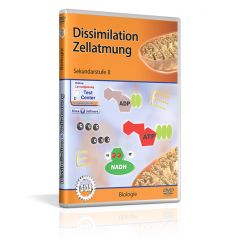 Dissimilation - Zellatmung, Film für den Biologieunterricht, GIDA DVD, Sekundarstufe II BIO-DVD057-5ML