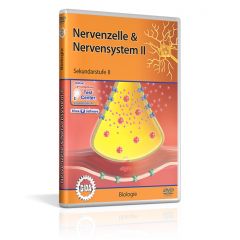 Nervenzelle & Nervensystem II, Film für den Biologieunterricht, GIDA DVD, ca. 40 min, Sekundarstufe II, BIO-DVD059-5ML