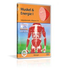 Muskel & Energie I, Film für den Biologieunterricht, GIDA DVD, ca. 27 min, Sekundarstufe I, Klassen 5-9