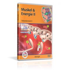 Muskel & Energie II, Film für den Biologieunterricht, GIDA DVD, ca. 27 min, Sekundarstufe II