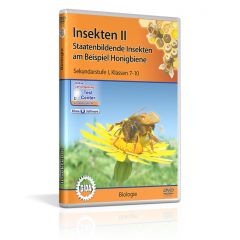 Insekten II - Staatenbildende Insekten am Beispiel Honigbiene, GIDA DVD, ca. 31 min, Sekundarstufe I, Klassen 7-10, BIO-DVD066-5ML