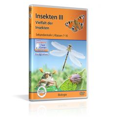 Insekten III - Vielfalt der Insekten, Film für den Biologieunterricht, GIDA DVD, ca. 26 min, Sekundarstufe I, Klassen 7-10