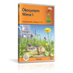 Ökosystem Wiese I, Film für den Biologieunterricht, GIDA DVD, ca. 33 min, Sekundarstufe I, Klasse 7-10