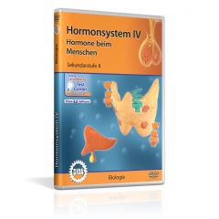 Hormonsystem IV - Hormone beim Menschen, GIDA DVD, Sekundarstufe II Art. BIO-DVD081-5ML