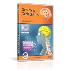 Gehirn & Gedächtnis, Film für den Biologieunterricht, GIDA DVD, Sekundarstufe I-II