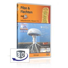 Muskel & Energie, real3D Software, GIDA, Sekundarstufe I, Klasse 5-9, BIO-SW064-5ML