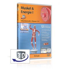 Muskel & Energie, real3D Software, GIDA, Sekundarstufe I, Klasse 5-9, BIO-SW064-5ML