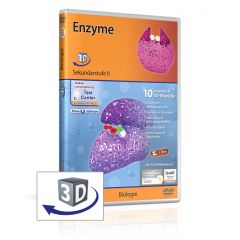 Enzyme - real3D Software, GIDA, Sekundarstufe II