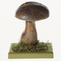 Flockenstieliger Hexenröhrling, Schusterpilz, von SOMSO® (Bo 84), Boletus erythropus (FR.) PERS, eßbar, aus SOMSO-Plast®