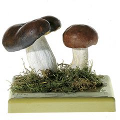 Brauner Ledertäubling, von SOMSO® (Bo 92), Russula integra (L. ex FR.), guter Speisepilz, aus SOMSO-Plast®