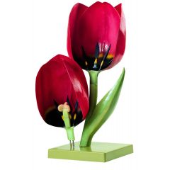 Gartentulpe, Blüte, Tulipa gesneriana, von SOMSO® (BoS 15/2), ca. 4fach vergrößert, aus SOMSO-Plast®, nach Prof. Dr. Weber