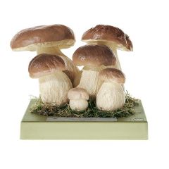 Steinpilz, Herrenpilz, von SOMSO® (BoS 225), Boletus edulis (BULL. ex FR.) Gruppe mit 6 verschiedenen Entwicklungsstadien, eßbar, aus SOMSO-Plast®