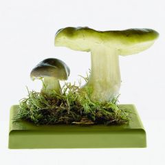 Grünling, Edel-Ritterling, von SOMSO® (BoS 48), Tricholoma flavovirens (PERS. ex FR.) LUND et NANNF., eßbar, aus SOMSO-Plast®