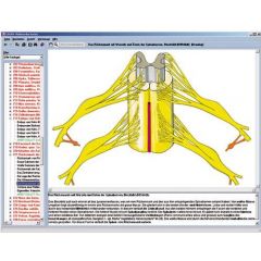 LIEDER Tierzelle (Cytologie), SMD-08 Multimedia-Lehrerpaket, Basispaket von 6 Präparaten