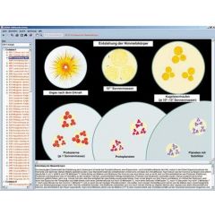 LIEDER Fortpflanzung und Sekualkunde, interaktive CD-ROM (CD117).