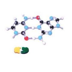 Die Basen der DNA molymod® (MKO-ACGT-53)