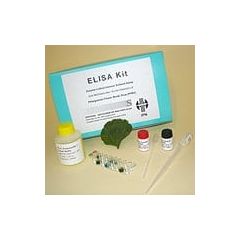 ELISA Kit, Enzyme Linked Immuno Sorbent Assay – ganz praktisch im Klassenzimmer