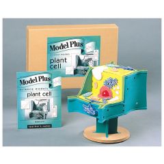 Pflanzliche Zelle Modell