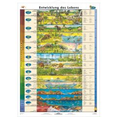 Entwicklung des Lebens, Wandkarte von Stiefel, 140 x 190 cm www.laborplan.eu