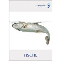 Fische, Art. 46505198 