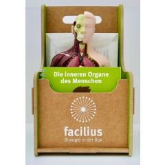 Facilius Lernset Innere Organe des Menschen, Experimentierbox für die Biologie Sek I/Sek II