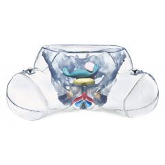 Modell der weiblichen Sexualorgane von SOMSO® (MS 5/2), natürliche Größe, in transparenter Hauthülle, aus SOMSO-Plast®