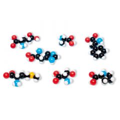 8 Aminosäuren molymod® Molekülbaukasten (MKA-120-8) 