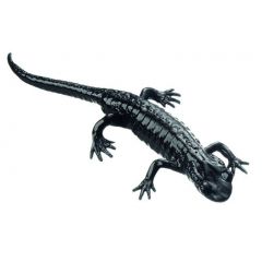 Alpensalamander, Salamandra a. atra, von SOMSO® (ZoS 1000), in natürlicher Größe, aus SOMSO®-Plast