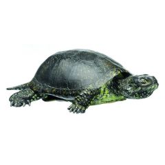 Europäische Sumpfschildkröte, Männchen, Emys orbicularis, von SOMSO® (ZoS 1025), in natürlicher Größe, aus SOMSO®-Plast