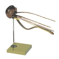 Stechmückenkopf, Gemeine Stechmücke, Culex pipiens, von SOMSO® (ZoS 48/3), im Maßstab 80:1, unzerlegbar, aus SOMSO-Plast®