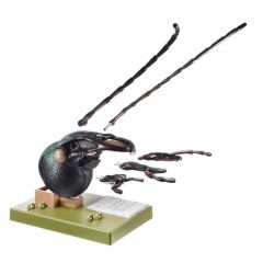 Käferkopf, Goldschmied, Carabus auratus, von SOMSO® (ZoS 48), ca. 50fach linear vergrößert, in 6 Teile zerlegbar, aus SOMSO-Plast®